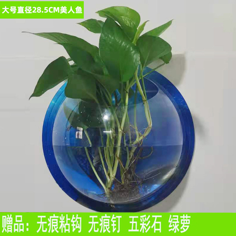 Creative Wall Hanging Flower Pot Hydroponic Hanging Basket Hanging Orchid Vase Flower Plant Green Radish Bonsai Green Plant Potted Flower Device Plastic