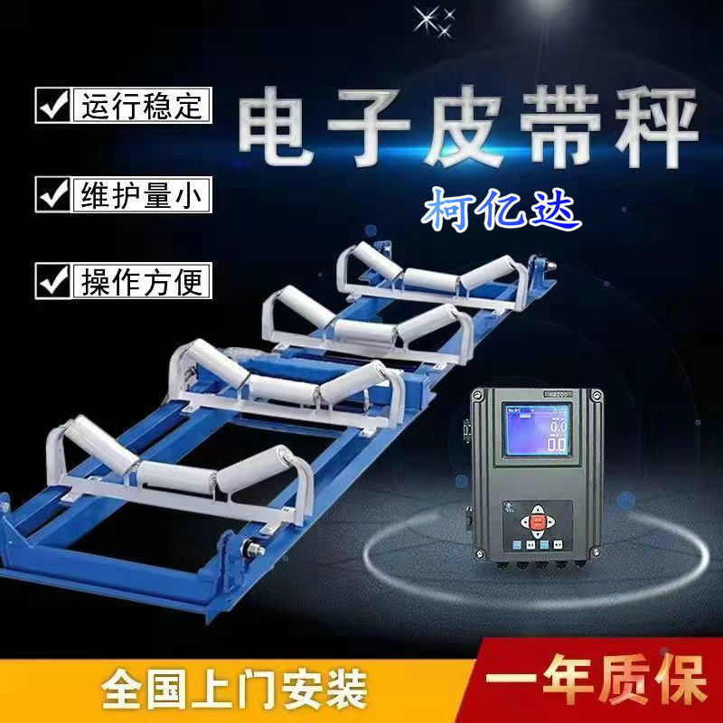 定制 不同规格电子皮带秤,适于不同行业的稳定统计