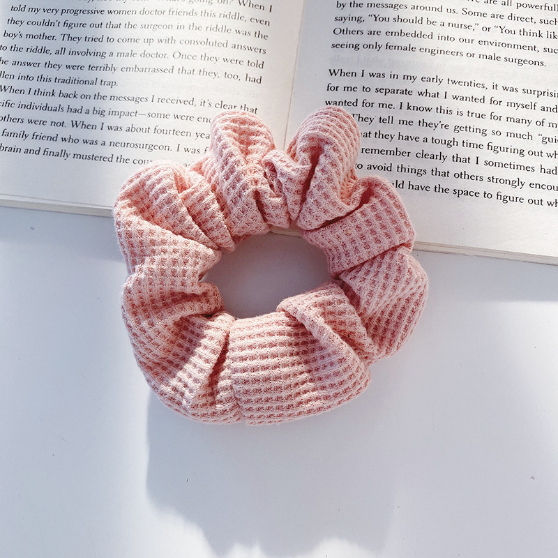 Intestine Hair Rope Pork Intestine Hair Band Female Ins Internet Celebrity Hair Band Simple Elegant French Large Intestine Ring Hair Accessories