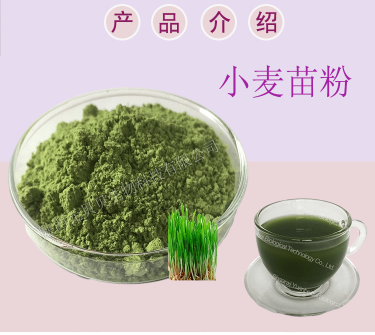 小麦苗粉详情图片