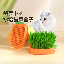 新款水培猫草盒  懒人猫草盆栽小麦种子育苗盘 猫薄荷咪零食猫草