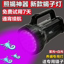 新款照蝎子灯强光超亮紫光手电筒蝎子灯户外头戴蝎子灯可充电