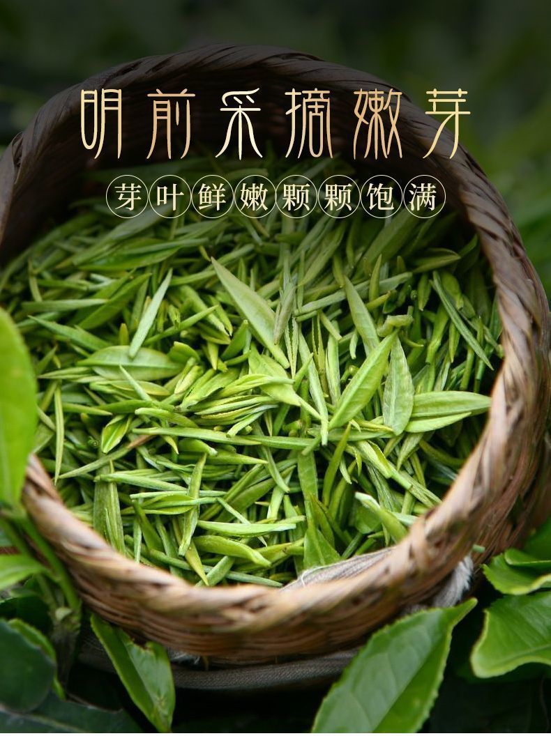 2024新茶都匀毛尖绿茶贵州明前特级嫩芽散装浓香型买一送一-阿里巴巴