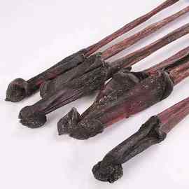 批发现货 马鞭 大马鞭 量大从优 中药材泡酒料搭配