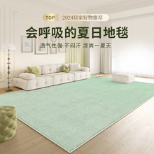 地毯客厅房间卧室床边免洗可擦免打理2024新款轻奢高级感隔音地垫