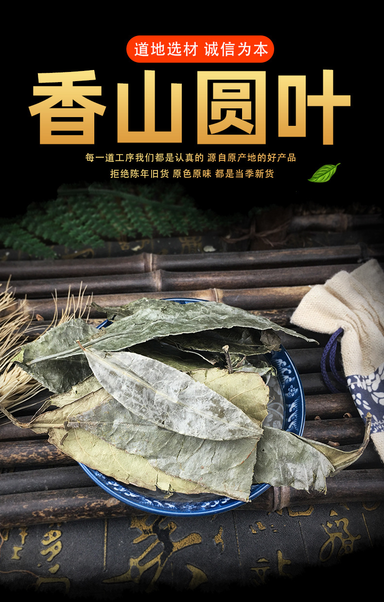 批发 山香圆叶散装 山香园 常年大货e