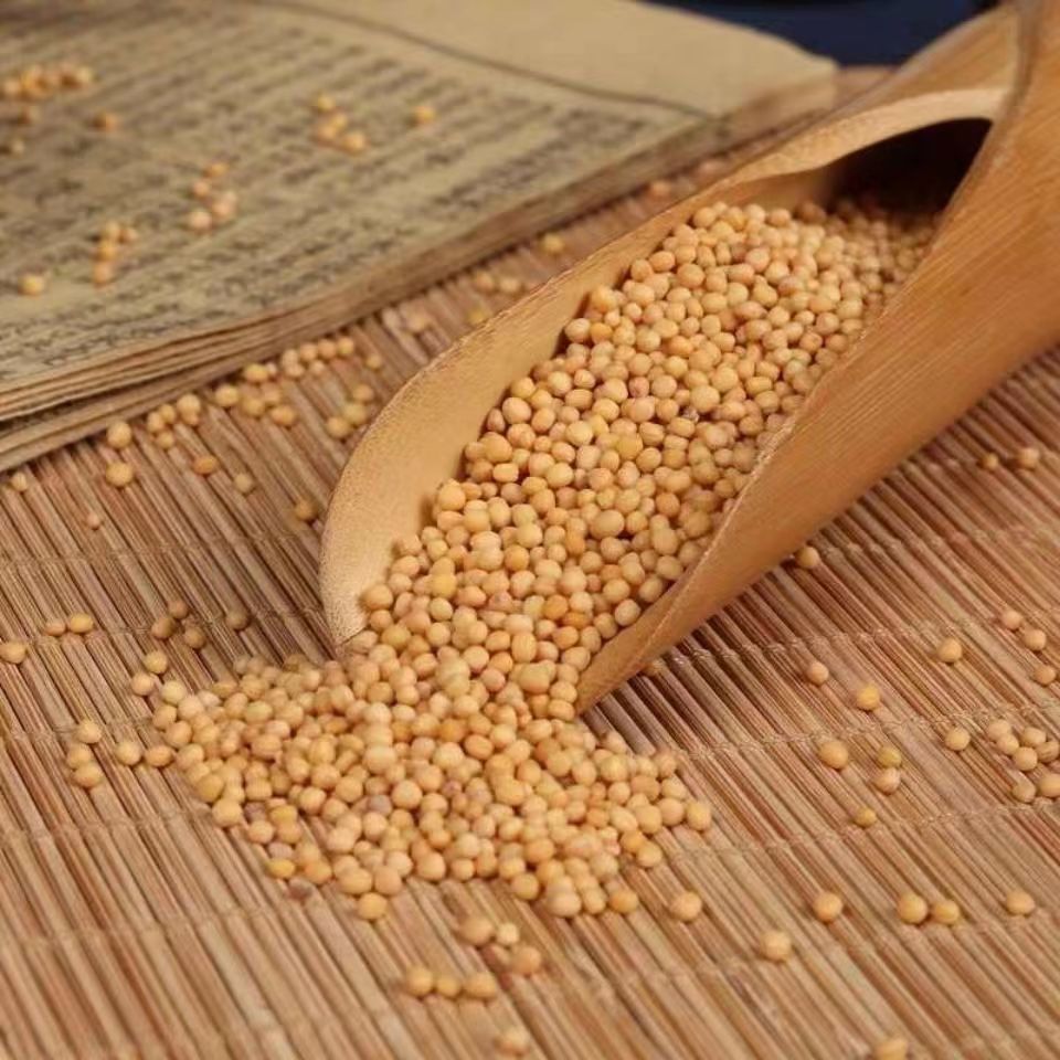 正品新货白芥子500g包邮 白介子 辣菜籽 芥菜籽 非野生白介子