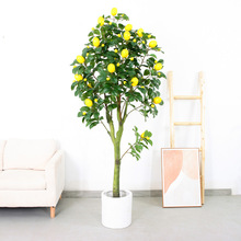 柠檬树仿真绿植摆件假植物盆栽仿真树室内落地仿生绿植客厅装饰