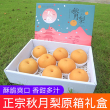 冰糖秋月梨礼盒装新鲜水果日本引种千玥梨莱阳梨超甜梨脆梨子