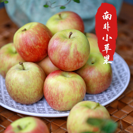 南非牛顿小苹果野生迷你苹果当季新鲜水果整箱一件代发批发