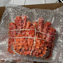 智利帝王蟹熟冻帝王蟹特大螃蟹无冰海鲜日料批发新鲜整只帝王蟹