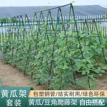 架豆角神器黄瓜丝瓜葡萄架子爬藤架植物支撑杆阳台户外家用落地种