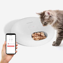 Petwant WIFI Smart 6 Meals Automatic Pet Cat Food Feeder