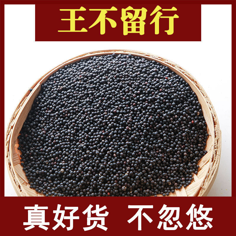 精选王不留行中药材下奶通奶王不留行籽中草药正品新货无硫大货