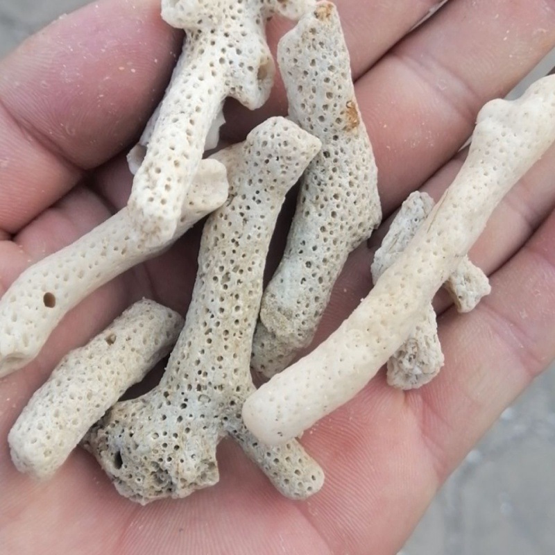 珊瑚骨鱼缸滤材优质砂珊瑚石碎装饰水族造景厂家一件批发速卖通