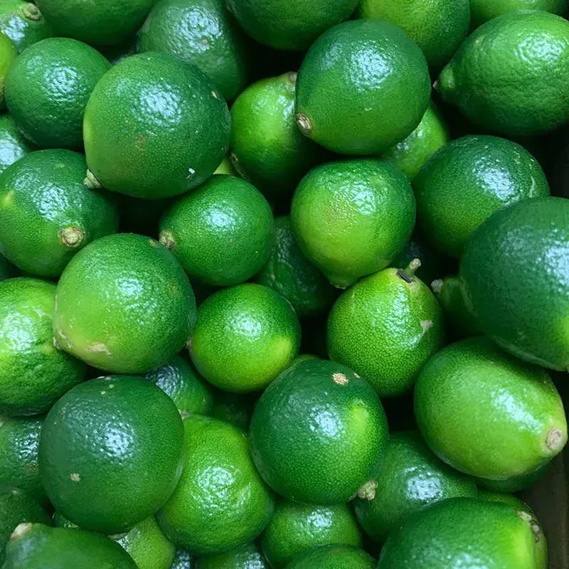 海南小金桔小青桔青金桔青柠檬当季时令新鲜水果皮薄多汁