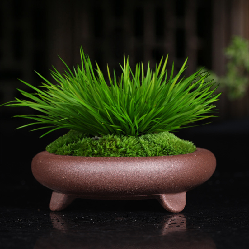 紫砂花盆简约桌面小号古典精品手工陶瓷浅盆矮种多肉菖蒲盆景盆