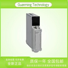 TSXDEY64T2K 模块 PLC 法国  模块 可编程逻辑控制器