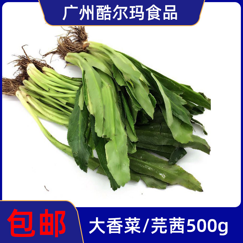 包邮 泰国香菜500g新鲜芫茜大香菜 刺芹 泰国冬阴功材料芫荽蔬菜