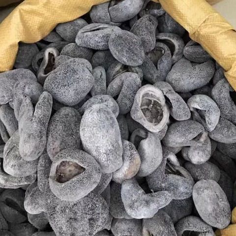 精品水发球参冷冻珍珠珍珠球参20-23颗/袋