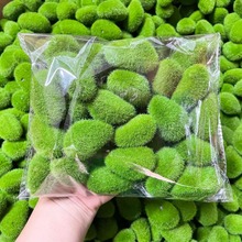 装饰摆件仿真苔藓石微景观仿真青苔石头墙面拍摄道具造景布景布置