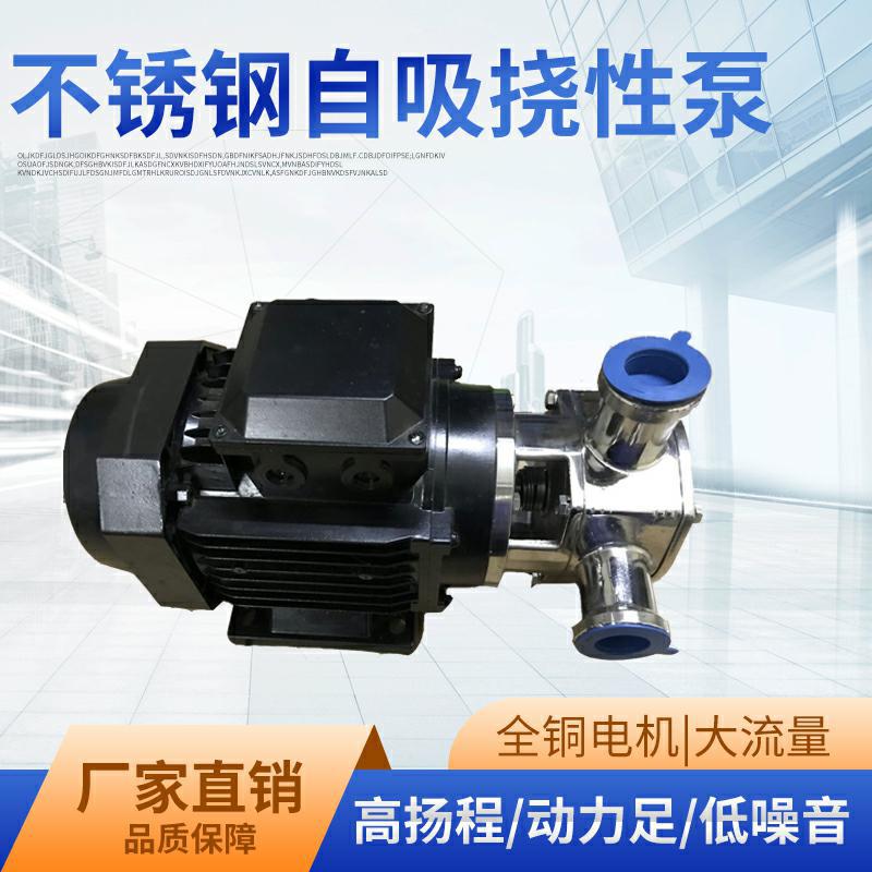 304不锈钢挠性泵高粘度液体食品 RXB-50转子泵大流量自吸泵硅胶叶