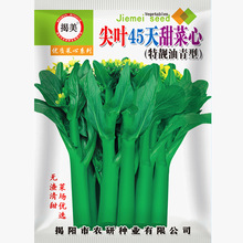 高产菜心种子，柳叶尖叶油菜心，45天尖叶菜心 20克装蔬菜种子