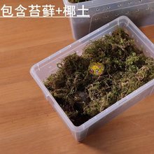 小乌龟冬眠用品装备恒温家用龟椰土保暖乌龟冬天保温箱冬眠箱