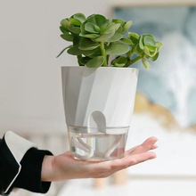 水培玻璃花盆懒人绿萝自动吸水免可储水盆透明塑料绿箩专用自简约