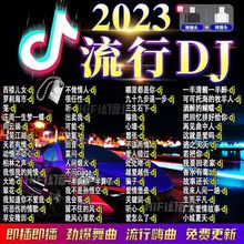 2023新歌曲DJ歌曲U盘热门网络流行中文DJ榜单无损音乐车载MP3包邮