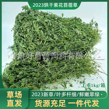 烘干苜蓿草荷兰猪龙猫宠物饲料2023苜蓿草干草兔子草料紫花苜蓿草