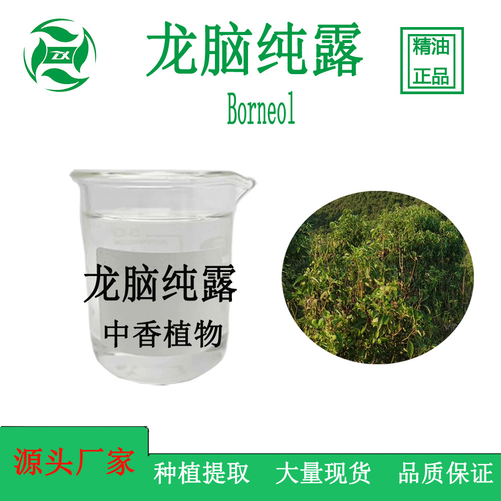 龙脑纯露吉安中香植物精油龙脑纯露龙脑提取液量大批发可分装