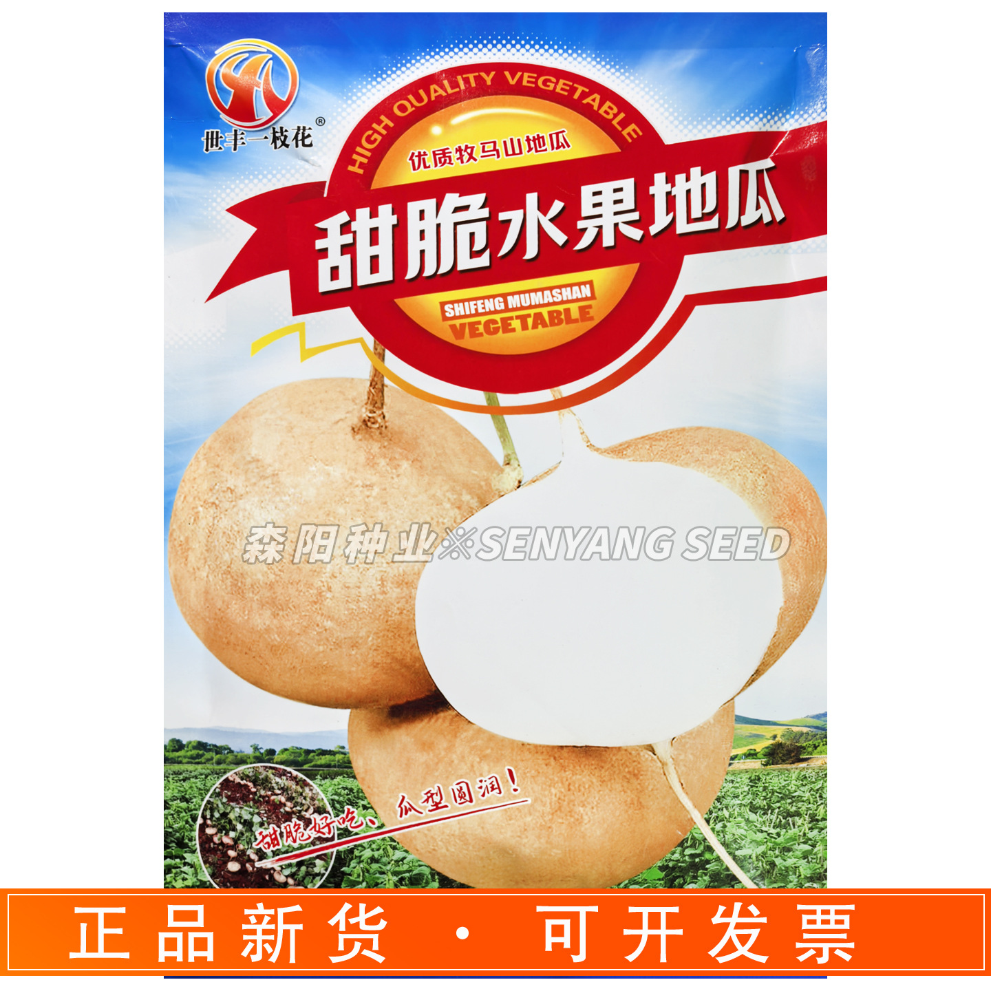 世丰一枝花 甜脆水果地瓜牧马山凉薯种子杂交一点红小叶细藤沙葛