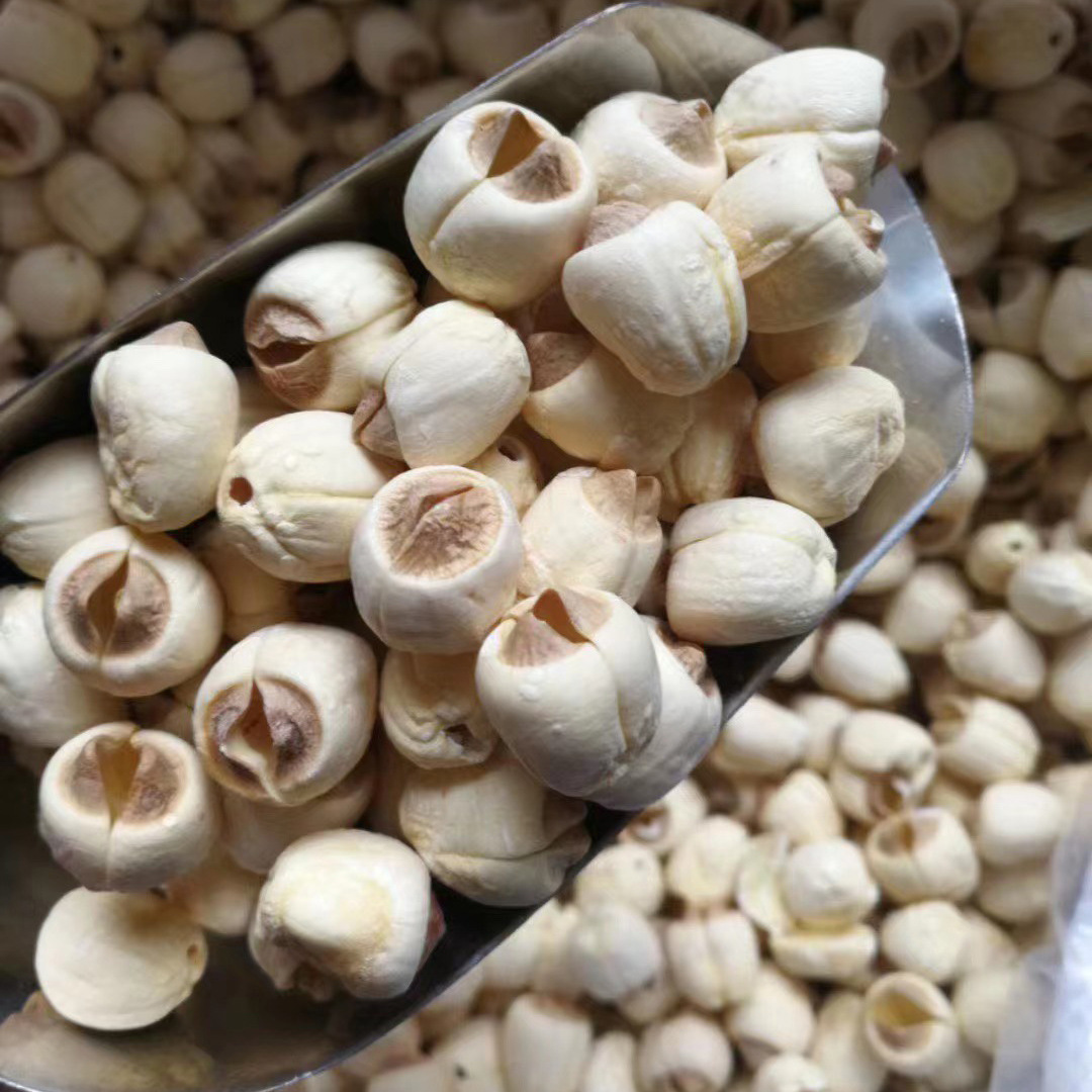 莲子批发厂家直销建宁白莲子(可批发代发)