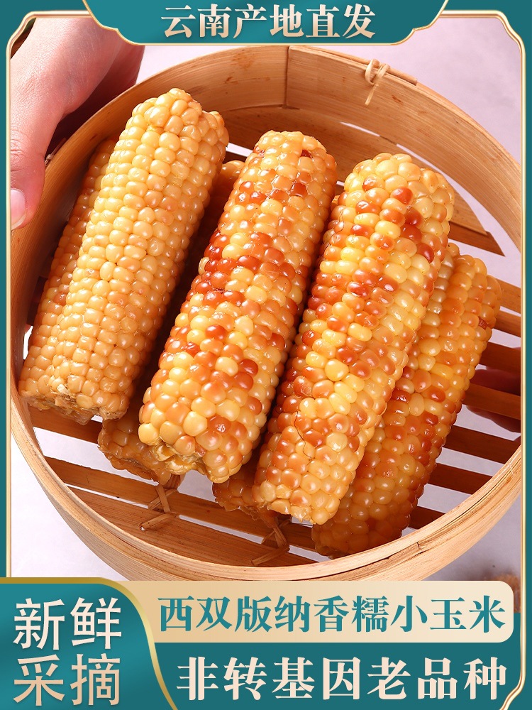 10斤云南西双版纳香糯小玉米新鲜真空装花糯玉米棒香甜黏玉米