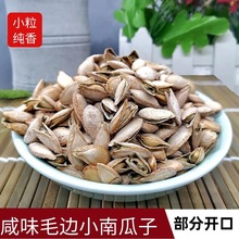 盐焗南瓜子炒熟咸味农家特产干果炒货零食小包袋装毛边小粒南瓜子