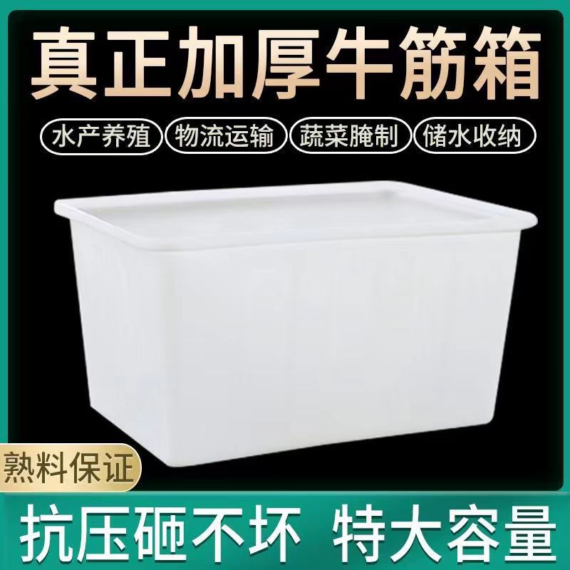 White Plastic Water Tank Storage Box Food Transit Aquatic Products Logistics Turnover Box Water Storage Breeding Fish Breeding Turtle Plastic Basket