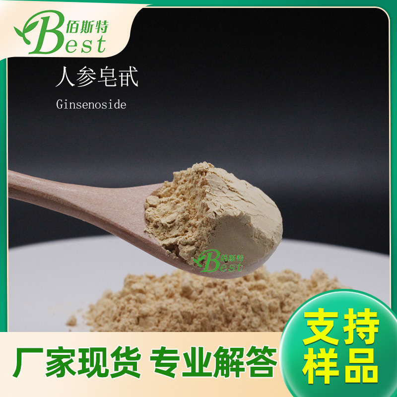 含量20-80%人参总皂苷粉 人参皂苷rh2 厂家现货人参提取物