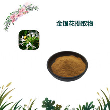 沃特莱斯生物 金银花提取物 萃取粉 原粉 食品原料 2kg起批