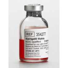 Corning康宁354277 Matrigel基质，适用于hESC，不含LDEV，5mL
