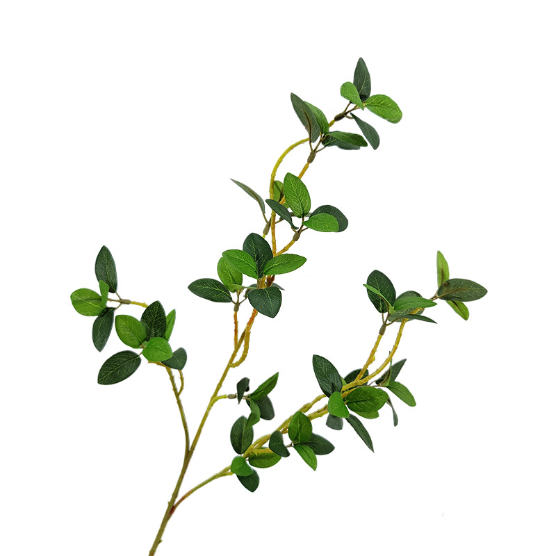 仿真绿榕树叶 北欧简约ins风装饰单支富贵榕 diy插花婚庆家居装扮
