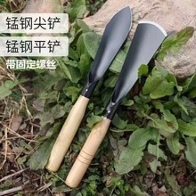 多功能园艺工具铲子挖野菜赶海种花铲土不锈钢加厚铁锄除草铲