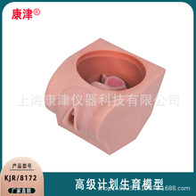 康津供应高级计划生育教育模型 计划生育模型KJR/8172