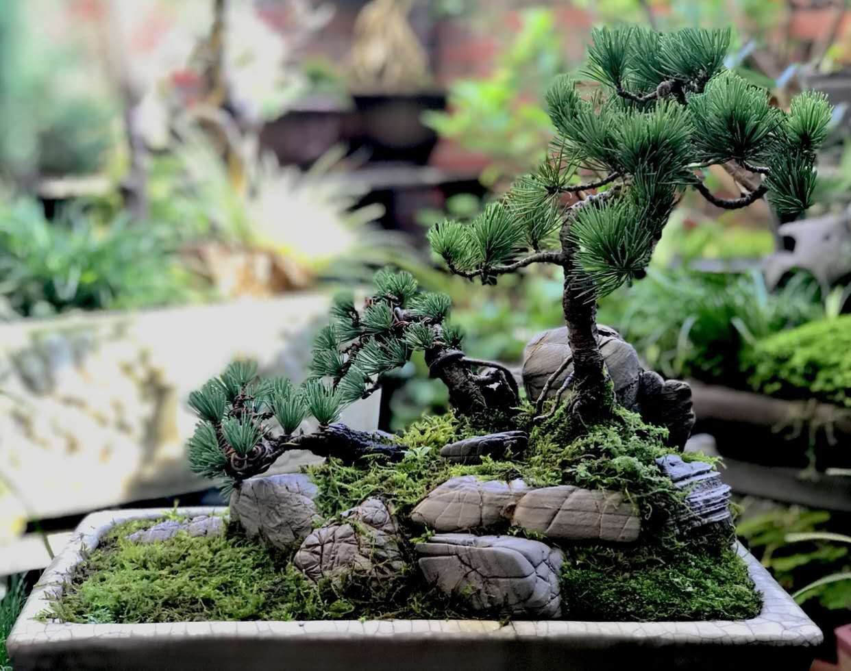 龟纹石假山石驳岸石自然景观石水族造景假山施工景观摆件