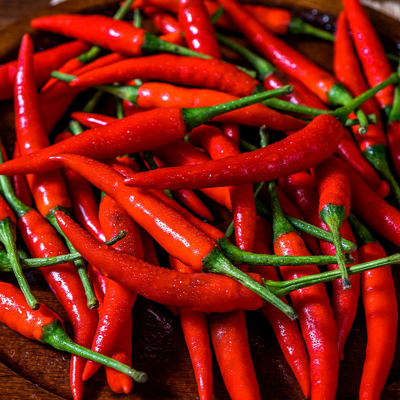 小米辣现摘特辣辣椒椒泡椒红辣椒朝天椒批发新鲜现货网红工厂批发