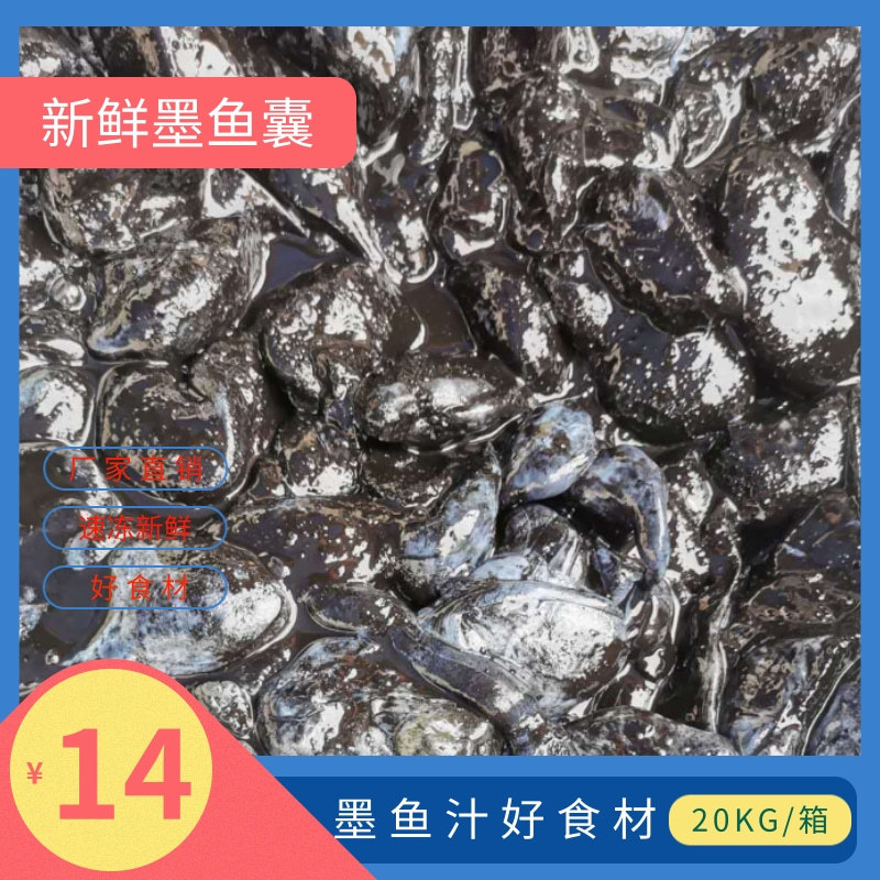 食材墨鱼汁墨鱼腩墨鱼囊冷冻墨鱼汁