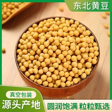 厂家直供东北大豆真空包装黄豆批发非转基因大粒打豆浆黄豆500g