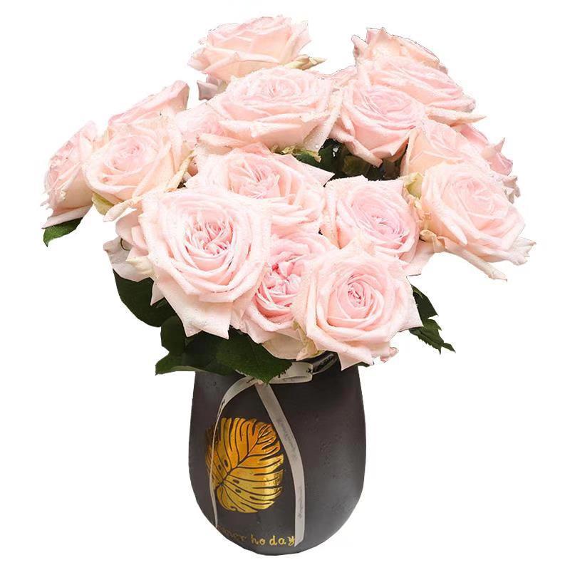 云南昆明鲜花基地直发香槟玫瑰花婚礼白色情人生日礼物鲜切花荔枝