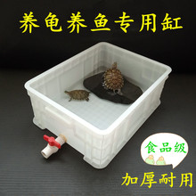 乌龟缸家用塑料养龟箱带排水小型金鱼盆巴西龟池孵化盒专用饲沧海