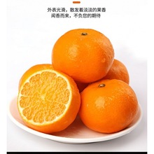 广西武鸣沃柑新鲜水果爆甜薄皮桔子蜜橘无籽非丑橘10工厂一件批发
